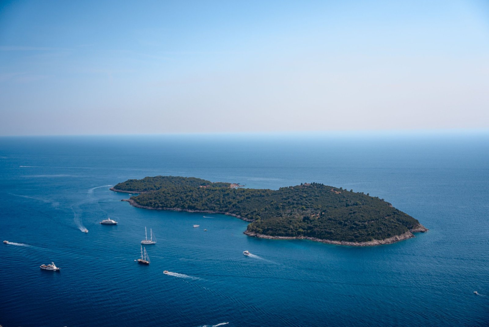Aerial view of a forested island in the sea, surrounded by sailboats and yachts