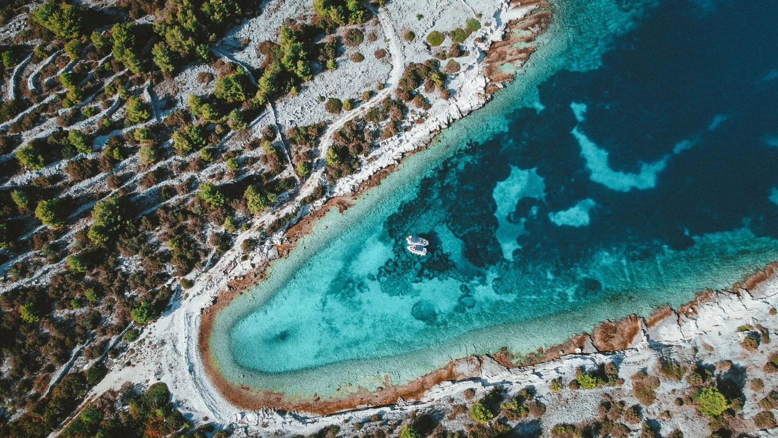 Aerial view of a boat anchored in a turquoise cove along a pine-covered rocky coastline